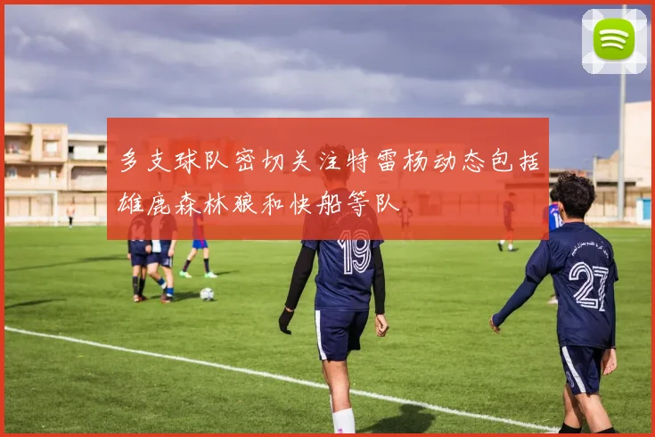 多支球队密切关注特雷杨动态包括雄鹿森林狼和快船等队