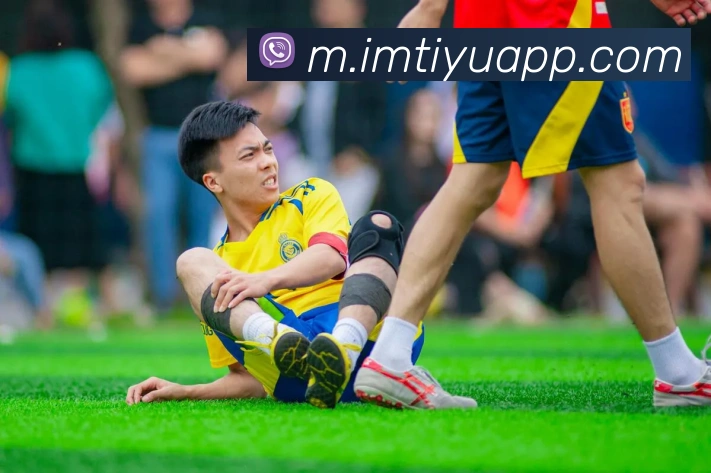 多媒体互动体验