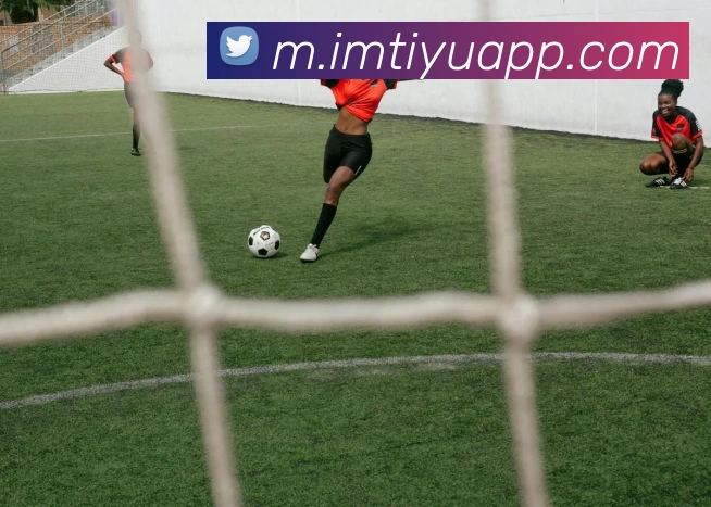 IM体育APP 高清赛事图