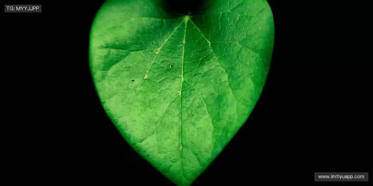 正品周边彰显态度,球迷专属热血收藏🎯